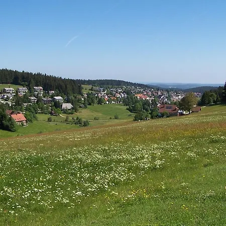 Schwarzwaldmuhle Schoenwald im Schwarzwald